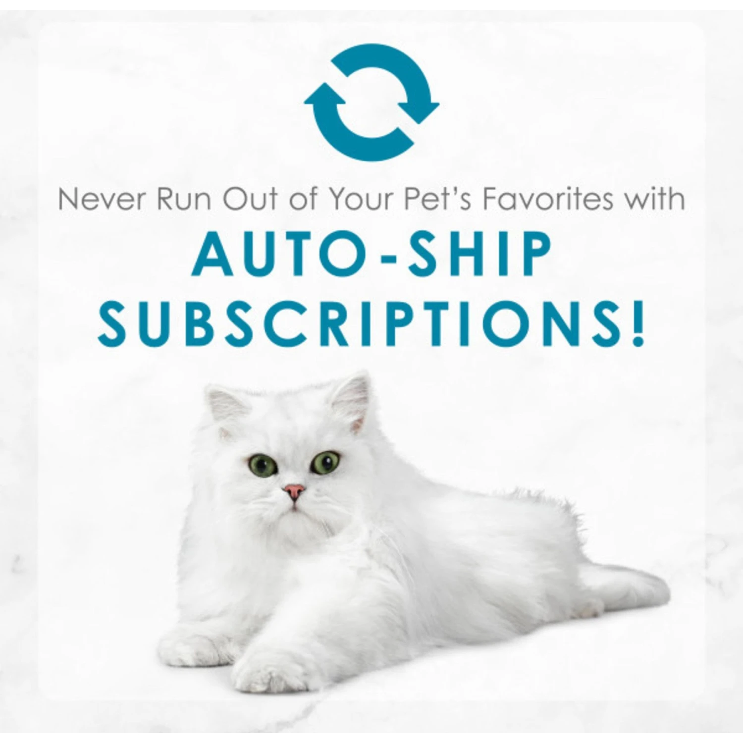 Fancy Feast Elegant Medleys Turkey Florentine Canned Cat Food 11 Fancy Feast Elegant Medleys Turkey Florentine Canned Cat Food - Image 9