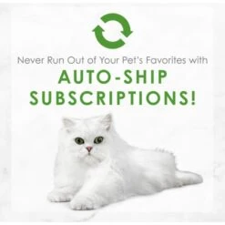 Fancy Feast Medleys Tuna Florentine Canned Cat Food -Furry Friends 75892 PT8. AC SS1800 V1659907818