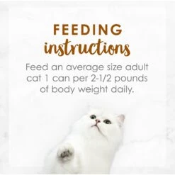 Fancy Feast Medleys Tender Turkey Tuscany Canned Cat Food 18 Fancy Feast Medleys Tender Turkey Tuscany Canned Cat Food -Furry Friends 75904 PT7. AC SS1800 V1586526990