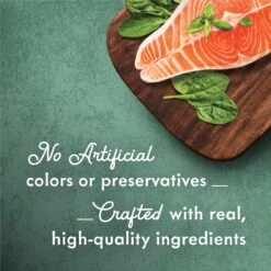 Fancy Feast Medleys Shredded Wild Salmon Fare Canned Cat Food -Furry Friends 75910 PT2. AC SS1800 V1666042928