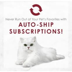 Fancy Feast Medleys Shredded Wild Salmon Fare Canned Cat Food -Furry Friends 75910 PT8. AC SS1800 V1649121986