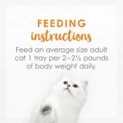 Fancy Feast Purely White Meat Chicken Wet Cat Food 18 Fancy Feast Purely White Meat Chicken Wet Cat Food -Furry Friends 75929 PT7. AC SS1800 V1568640471