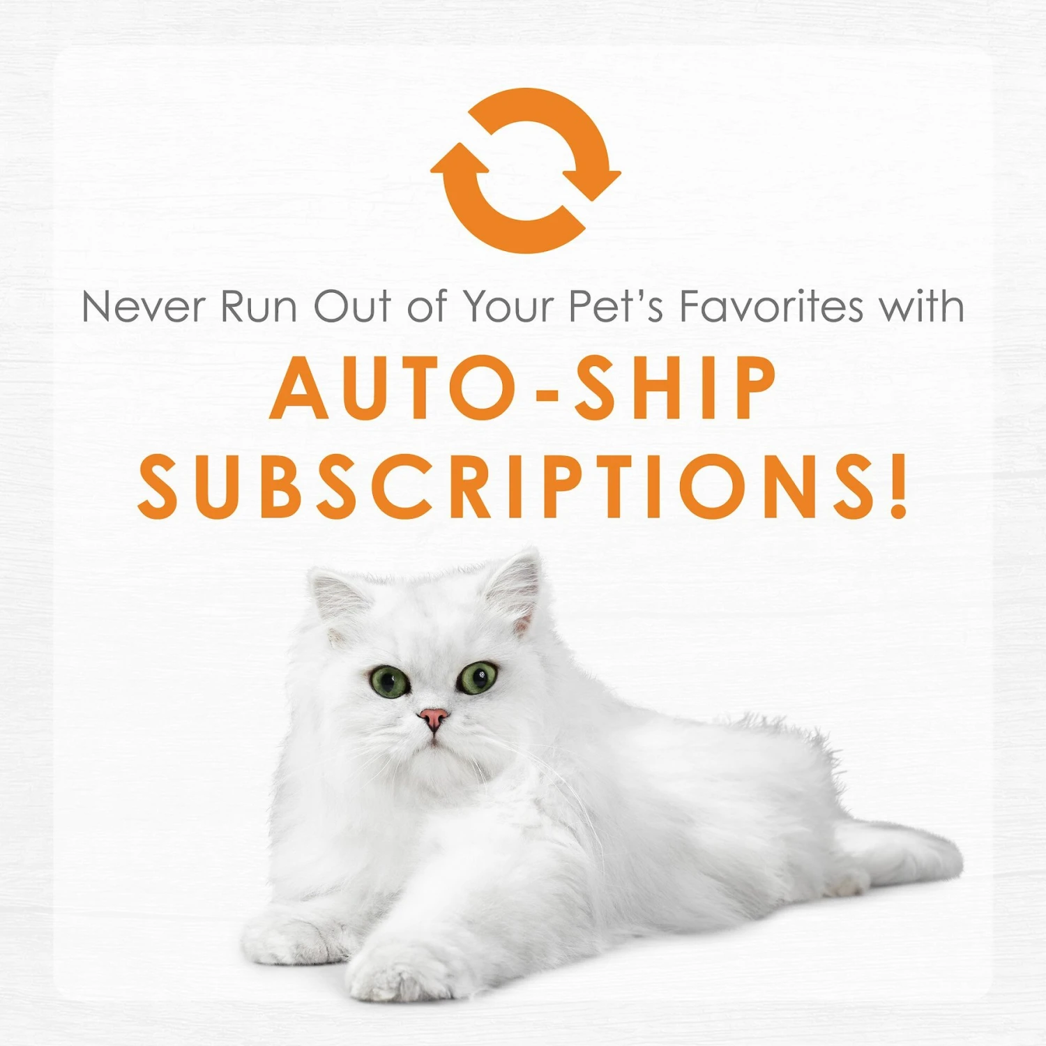 Fancy Feast Purely White Meat Chicken Wet Cat Food 11 Fancy Feast Purely White Meat Chicken Wet Cat Food - Image 9