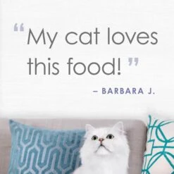 Fancy Feast Purely White Meat Chicken & Shredded Beef Wet Cat Food 16 Fancy Feast Purely White Meat Chicken & Shredded Beef Wet Cat Food -Furry Friends 75931 PT5. AC SS1800 V1640887914