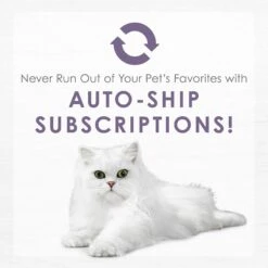 Fancy Feast Purely White Meat Chicken & Shredded Beef Wet Cat Food 19 Fancy Feast Purely White Meat Chicken & Shredded Beef Wet Cat Food -Furry Friends 75931 PT8. AC SS1800 V1640901385