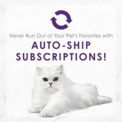 Fancy Feast Delights With Cheddar Grilled Whitefish & Cheddar Cheese Feast In Gravy Canned Cat Food -Furry Friends 75958 PT8. AC SS1800 V1693928906