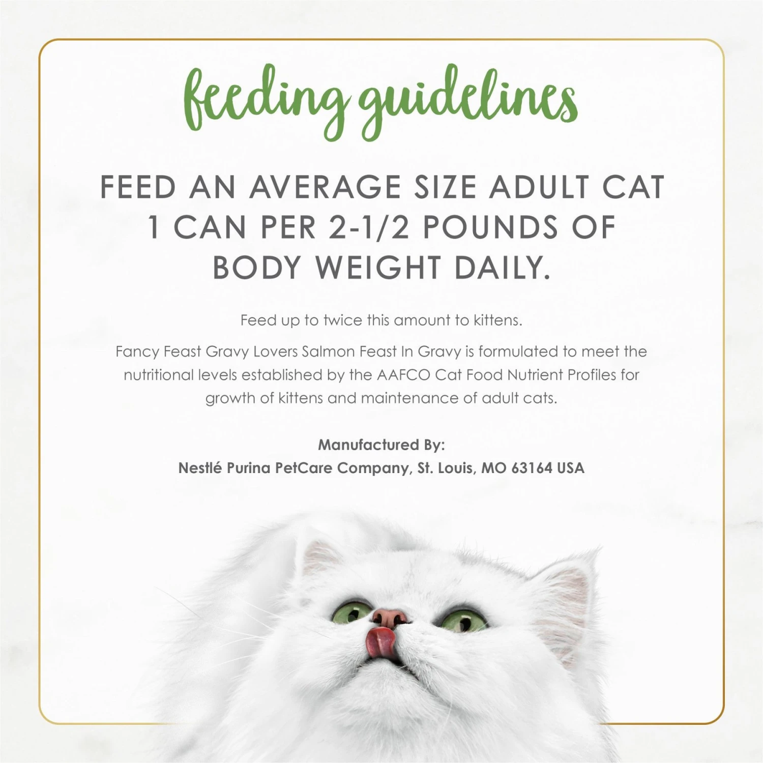Fancy Feast Gravy Lovers Salmon Feast In Gravy Gourmet Wet Cat Food 11 Fancy Feast Gravy Lovers Salmon Feast In Gravy Gourmet Wet Cat Food - Image 9