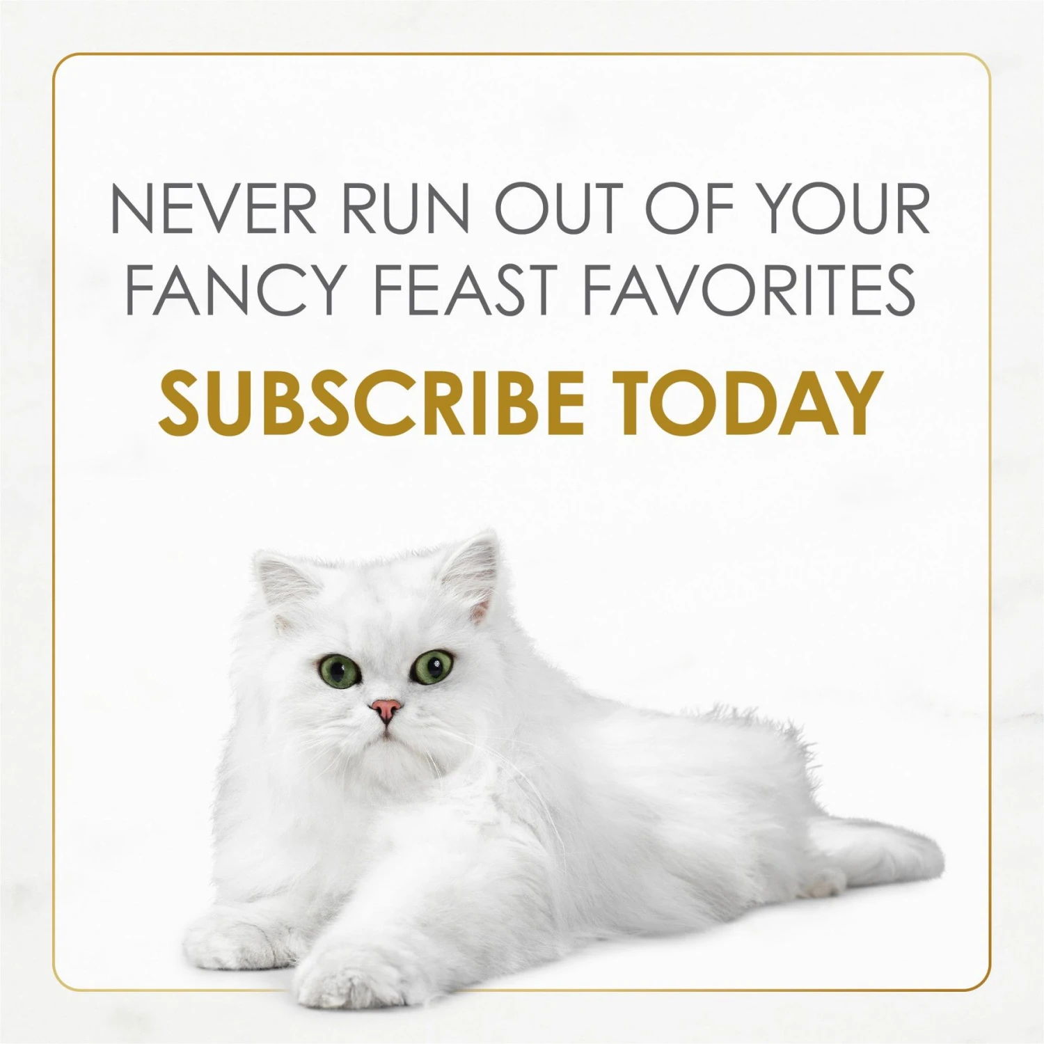 Fancy Feast Gravy Lovers Turkey Feast In Roasted Turkey Flavor Gravy Canned Cat Food 10 Fancy Feast Gravy Lovers Turkey Feast In Roasted Turkey Flavor Gravy Canned Cat Food - Image 8