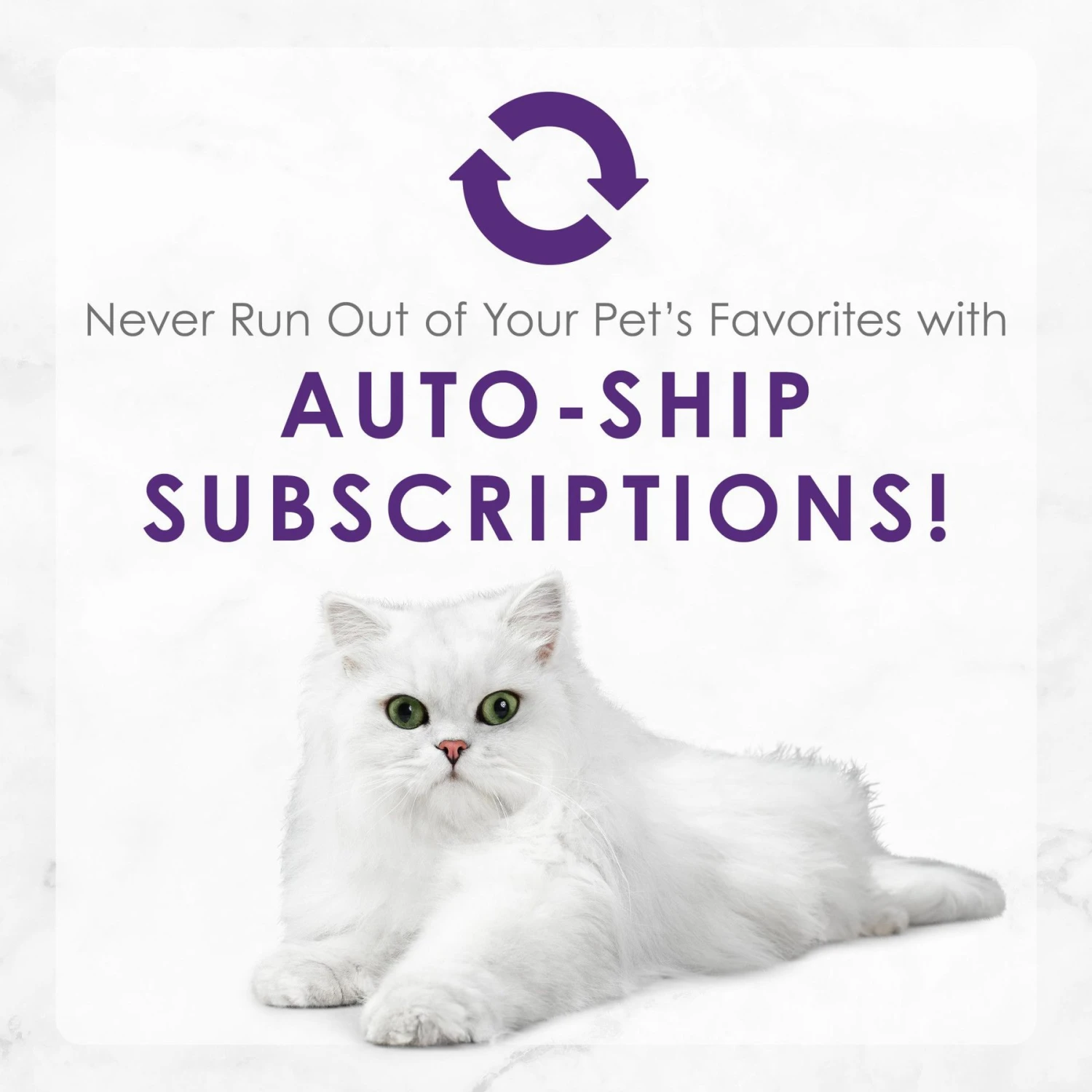 Fancy Feast Delights With Cheddar Grilled Variety Pack Canned Cat Food 11 Fancy Feast Delights With Cheddar Grilled Variety Pack Canned Cat Food - Image 9