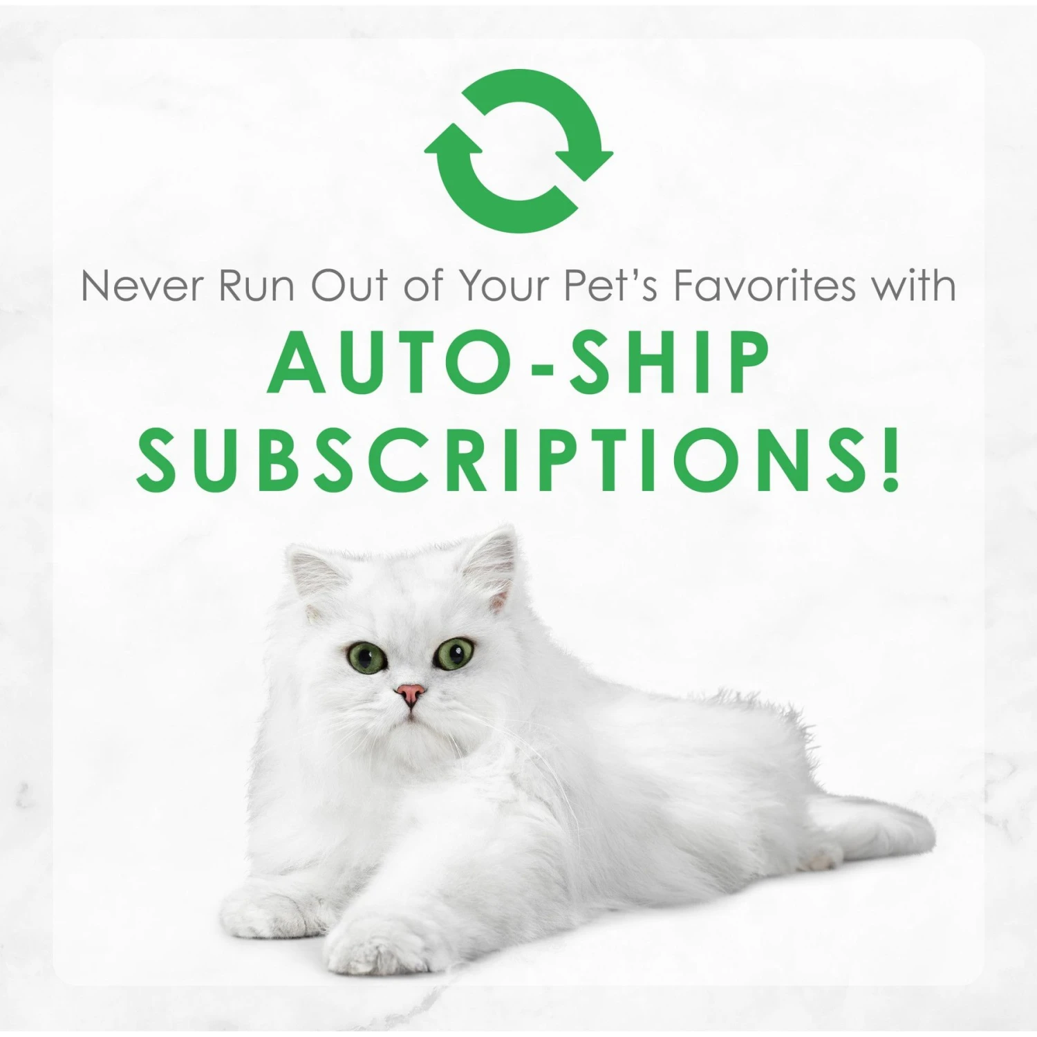 Fancy Feast Flaked Chicken & Tuna Feast Wet Cat Food 11 Fancy Feast Flaked Chicken & Tuna Feast Wet Cat Food - Image 9