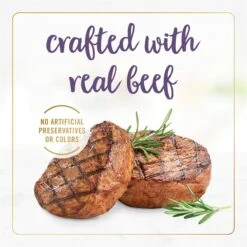 Fancy Feast Grilled Beef Feast In Gravy Canned Cat Food -Furry Friends 76069 PT5. AC SS1800 V1683832310