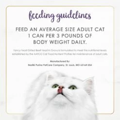 Fancy Feast Grilled Beef Feast In Gravy Canned Cat Food -Furry Friends 76069 PT8. AC SS1800 V1683832307