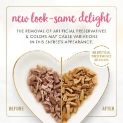 Fancy Feast Grilled Salmon & Shrimp Feast In Gravy Canned Cat Food 13 Fancy Feast Grilled Salmon & Shrimp Feast In Gravy Canned Cat Food -Furry Friends 76085 PT2. AC SS1800 V1683832252