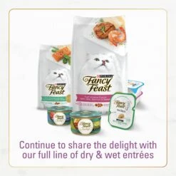 Purina Fancy Feast With Savory Chicken & Turkey Dry Cat Food -Furry Friends 76144 PT6. AC SS1800 V1678285917