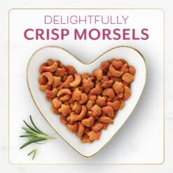 Fancy Feast Gourmet Filet Mignon Flavor With Real Seafood & Shrimp Dry Cat Food -Furry Friends 76149 PT2. AC SS1800 V1678287542