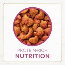 Fancy Feast Gourmet Filet Mignon Flavor With Real Seafood & Shrimp Dry Cat Food -Furry Friends 76149 PT8. AC SS1800 V1678228255