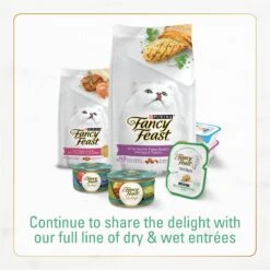 Fancy Feast Gourmet Ocean Fish & Salmon & Accents Of Garden Greens Dry Cat Food 17 Fancy Feast Gourmet Ocean Fish & Salmon & Accents Of Garden Greens Dry Cat Food -Furry Friends 76155 PT6. AC SS1800 V1678292100