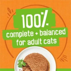 Friskies Classic Pate Poultry Platter Canned Cat Food 15 Friskies Classic Pate Poultry Platter Canned Cat Food -Furry Friends 76193 PT4. AC SS1800 V1700161416