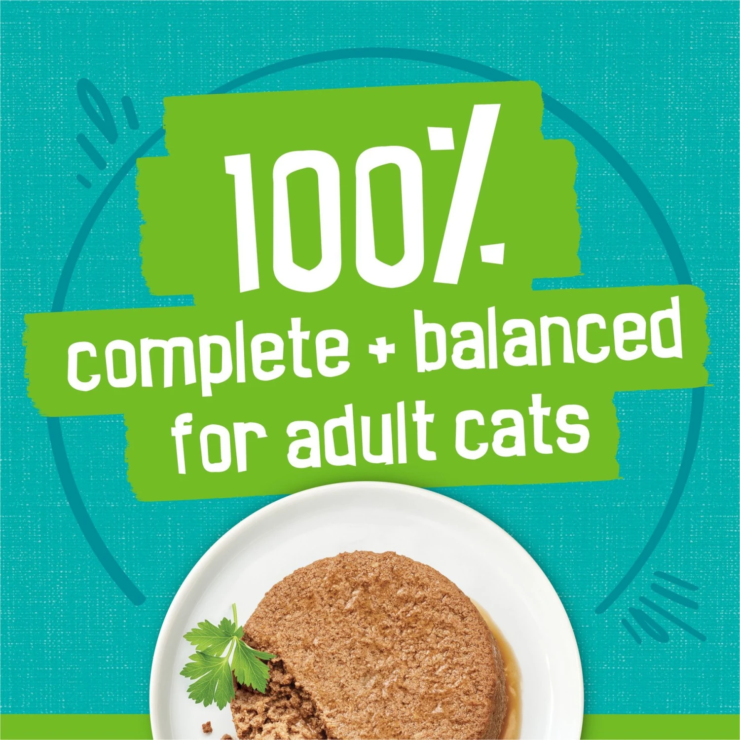 Friskies Classic Pate Sea Captain's Choice Canned Cat Food 7 Friskies Classic Pate Sea Captain's Choice Canned Cat Food - Image 5