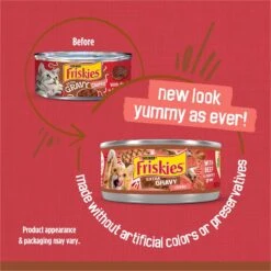 Friskies Extra Gravy Chunky With Beef In Savory Gravy Canned Cat Food 12 Friskies Extra Gravy Chunky With Beef In Savory Gravy Canned Cat Food -Furry Friends 76286 PT1. AC SS1800 V1700157795
