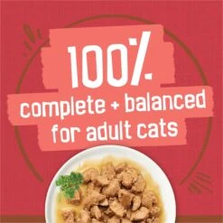 Friskies Extra Gravy Chunky With Beef In Savory Gravy Canned Cat Food 16 Friskies Extra Gravy Chunky With Beef In Savory Gravy Canned Cat Food -Furry Friends 76286 PT5. AC SS1800 V1700158063
