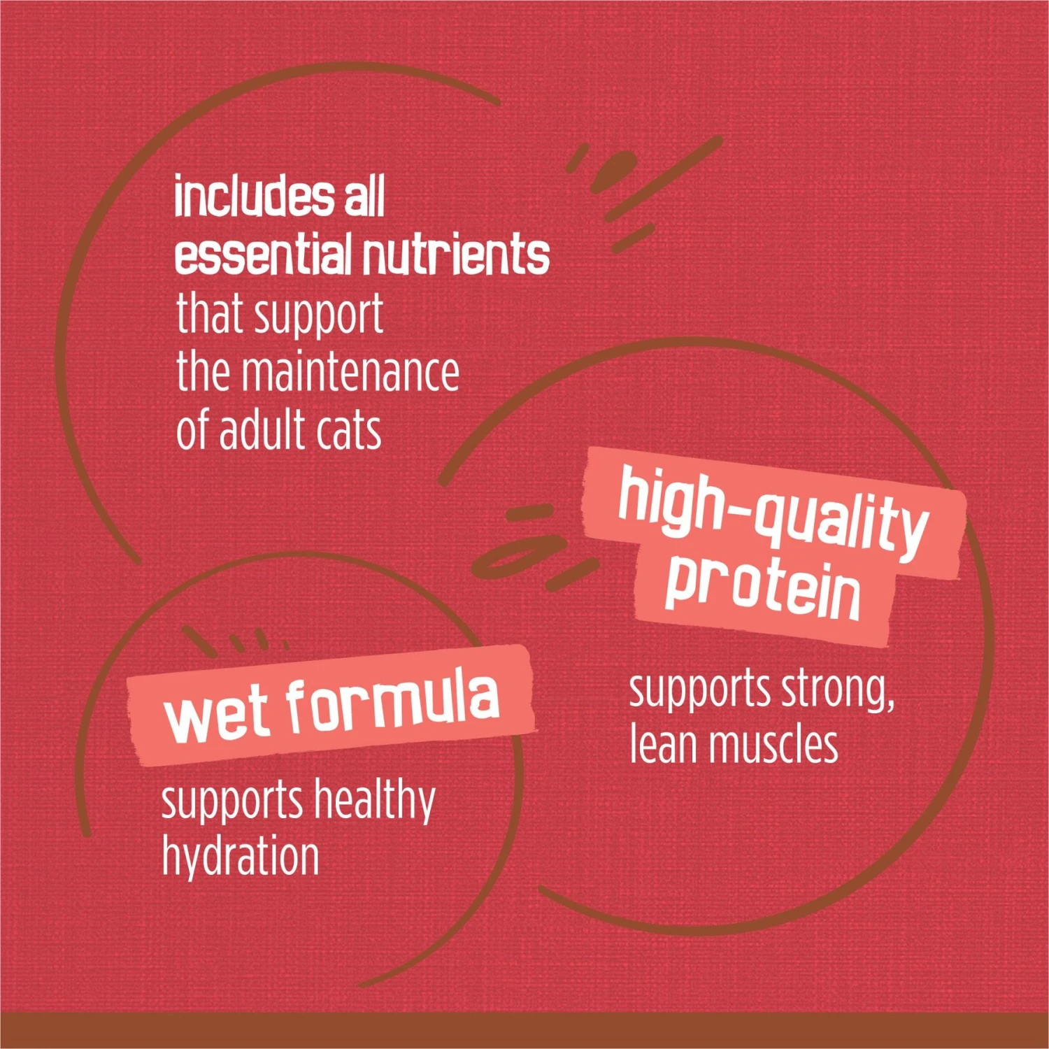 Friskies Extra Gravy Chunky With Beef In Savory Gravy Canned Cat Food 10 Friskies Extra Gravy Chunky With Beef In Savory Gravy Canned Cat Food - Image 8