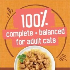 Friskies Extra Gravy Chunky With Chicken In Savory Gravy Canned Cat Food 16 Friskies Extra Gravy Chunky With Chicken In Savory Gravy Canned Cat Food -Furry Friends 76290 PT5. AC SS1800 V1700158410