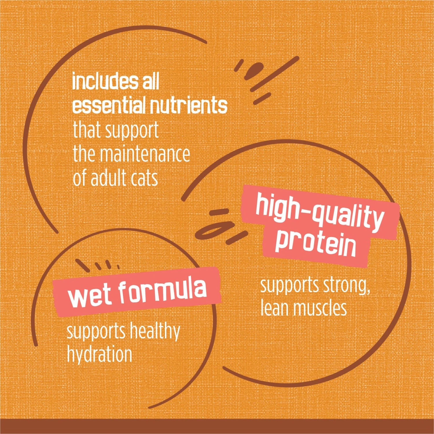 Friskies Extra Gravy Chunky With Chicken In Savory Gravy Canned Cat Food 10 Friskies Extra Gravy Chunky With Chicken In Savory Gravy Canned Cat Food - Image 8