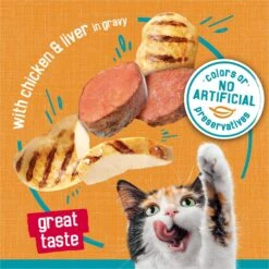 Friskies Tasty Treasures Gravy Chicken & Liver Wet Cat Food -Furry Friends 76342 PT3. AC SS1800 V1700160036