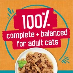 Friskies Tasty Treasures Gravy Chicken & Liver Wet Cat Food -Furry Friends 76342 PT5. AC SS1800 V1700157914