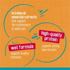 Friskies Tasty Treasures Gravy Chicken & Liver Wet Cat Food -Furry Friends 76342 PT7. AC SS1800 V1700162678