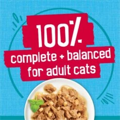 Friskies Tasty Treasures With Ocean Fish & Tuna & Scallop Flavor Wet Cat Food. 5.5-oz Can -Furry Friends 76346 PT5. AC SS1800 V1700158530