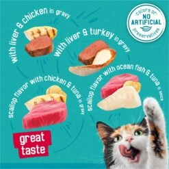 Friskies Tasty Treasures Gravy Prime Filets Variety Pack Wet Cat Food -Furry Friends 76350 PT2. AC SS1800 V1700158513