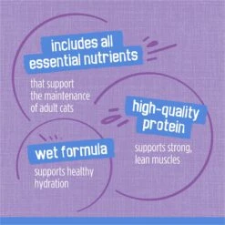 Friskies Savory Shreds Turkey & Cheese Dinner In Gravy Canned Cat Food -Furry Friends 76356 PT7. AC SS1800 V1700156626