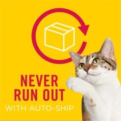 Friskies Savory Shreds Turkey & Cheese Dinner In Gravy Canned Cat Food -Furry Friends 76356 PT8. AC SS1800 V1541533069