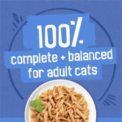 Friskies Savory Shreds Variety Pack Canned Cat Food -Furry Friends 76370 PT4. AC SS1800 V1700156911
