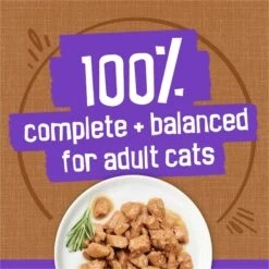 Friskies Meaty Bits Gourmet Grill Canned Cat Food 16 Friskies Meaty Bits Gourmet Grill Canned Cat Food -Furry Friends 76385 PT5. AC SS1800 V1700159096