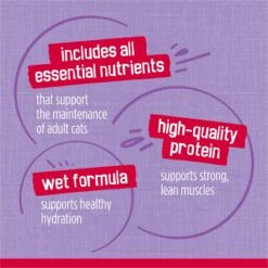 Friskies Prime Filets Turkey Dinner In Gravy Canned Cat Food -Furry Friends 76395 PT7. AC SS1800 V1700159241