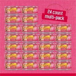 Friskies Prime Filets With Salmon & Beef In Sauce Canned Cat Food 13 Friskies Prime Filets With Salmon & Beef In Sauce Canned Cat Food -Furry Friends 76397 PT2. AC SS1800 V1700156812