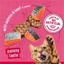 Friskies Prime Filets With Salmon & Beef In Sauce Canned Cat Food 14 Friskies Prime Filets With Salmon & Beef In Sauce Canned Cat Food -Furry Friends 76397 PT3. AC SS1800 V1699371141