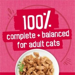 Friskies Prime Filets With Salmon & Beef In Sauce Canned Cat Food 16 Friskies Prime Filets With Salmon & Beef In Sauce Canned Cat Food -Furry Friends 76397 PT5. AC SS1800 V1700156847