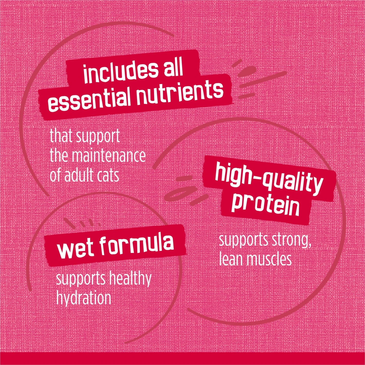 Friskies Prime Filets With Salmon & Beef In Sauce Canned Cat Food 10 Friskies Prime Filets With Salmon & Beef In Sauce Canned Cat Food - Image 8