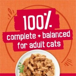 Friskies Prime Filets Chicken & Tuna Dinner In Gravy Canned Cat Food 16 Friskies Prime Filets Chicken & Tuna Dinner In Gravy Canned Cat Food -Furry Friends 76399 PT5. AC SS1800 V1699371139