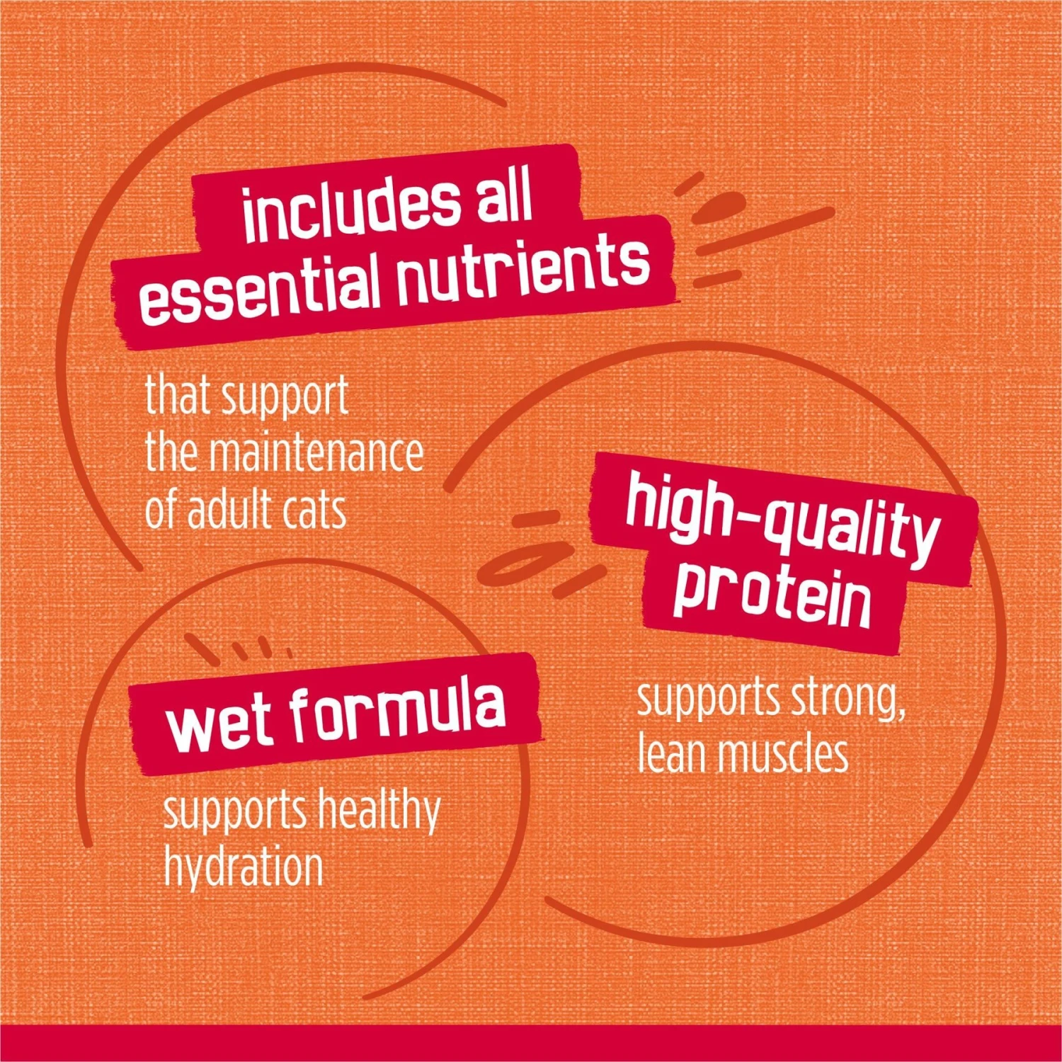 Friskies Prime Filets Chicken & Tuna Dinner In Gravy Canned Cat Food 10 Friskies Prime Filets Chicken & Tuna Dinner In Gravy Canned Cat Food - Image 8