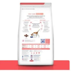 Hill's Prescription Diet ONC Care Dry Cat Food -Furry Friends 765310 PT1. AC SS1800 V1680028867