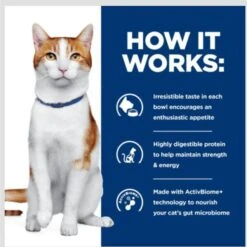 Hill's Prescription Diet ONC Care Dry Cat Food -Furry Friends 765310 PT4. AC SS1800 V1680099875