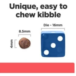 Hill's Prescription Diet ONC Care Dry Cat Food -Furry Friends 765310 PT5. AC SS1800 V1680099824