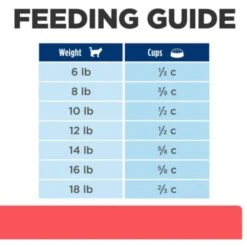 Hill's Prescription Diet ONC Care Dry Cat Food -Furry Friends 765310 PT7. AC SS1800 V1680029440