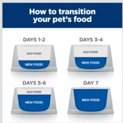 Hill's Prescription Diet ONC Care Dry Cat Food -Furry Friends 765310 PT8. AC SS1800 V1680099825