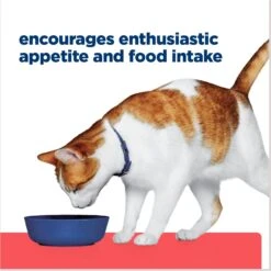 Hill's Prescription Diet ONC Care Chicken & Vegetable Stew Wet Cat Food -Furry Friends 765342 PT5. AC SS1800 V1675112982
